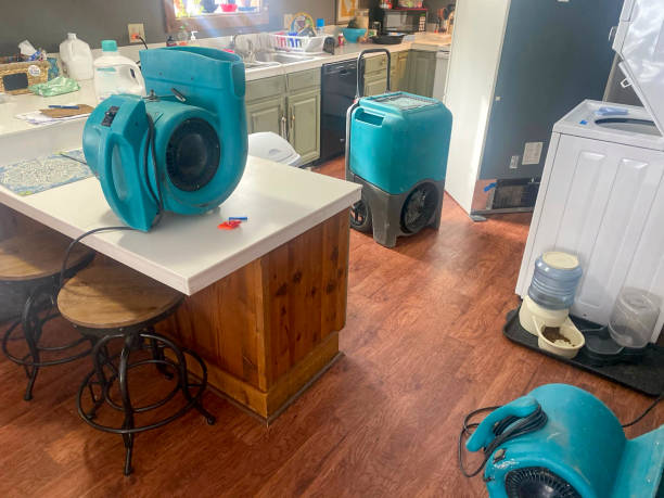 Best Emergency water damage restoration  in Keokuk, IA