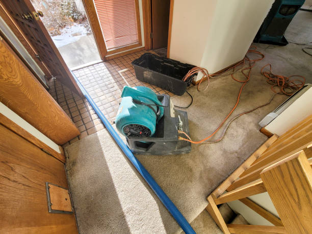 Best Fire Damage Restoration  in Keokuk, IA
