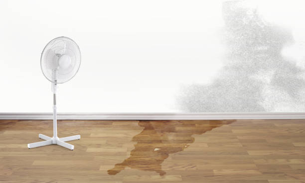 Best 24-hour water damage restoration  in Keokuk, IA