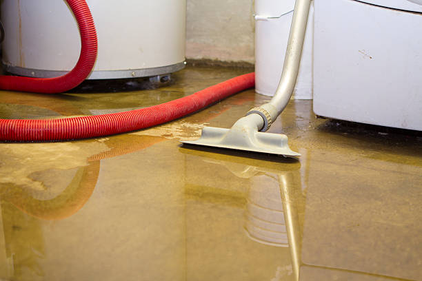 Best 24/7 water damage repair  in Keokuk, IA