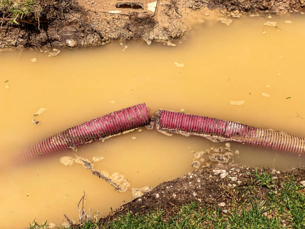 Best Flood restoration services  in Keokuk, IA